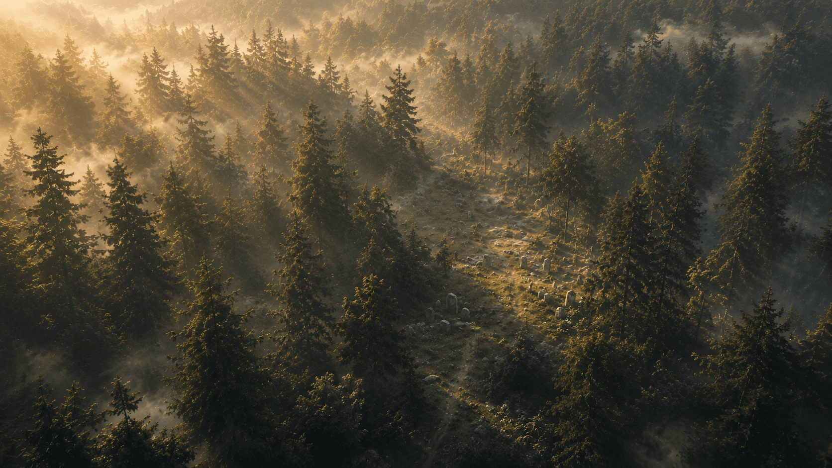 Misty forest aerial above a quiet graveyard.